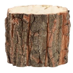 Rustic Wood Stump Succulent Planter - 15cm